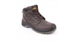 Botin-Darwin