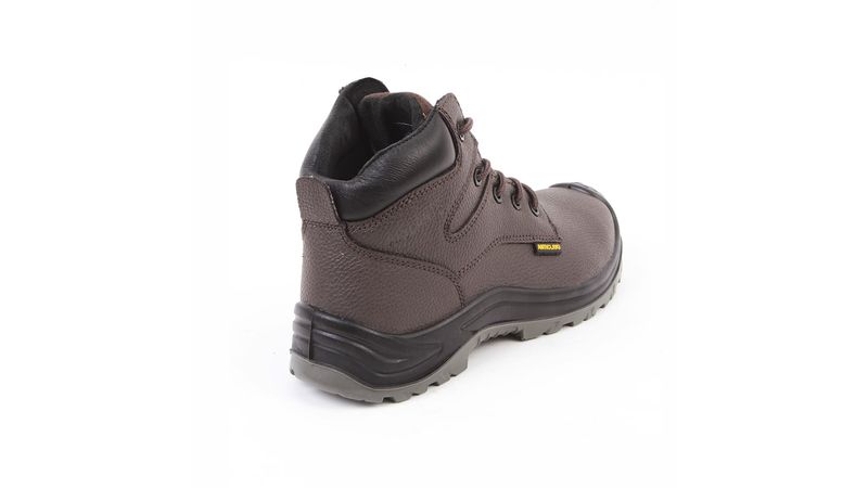 Botin-Darwin