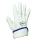200002647-1-v-638596533977700000-category-product-version-image