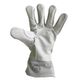 200002655-1-v-638597128241430000-category-product-version-image
