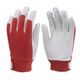 200002642-1-v-638597128231730000-category-product-version-image